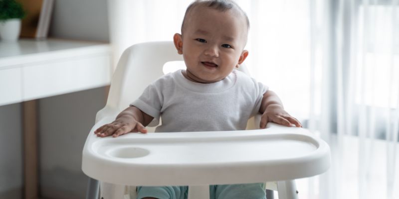 melhor cadeira de alimentação para bebê  